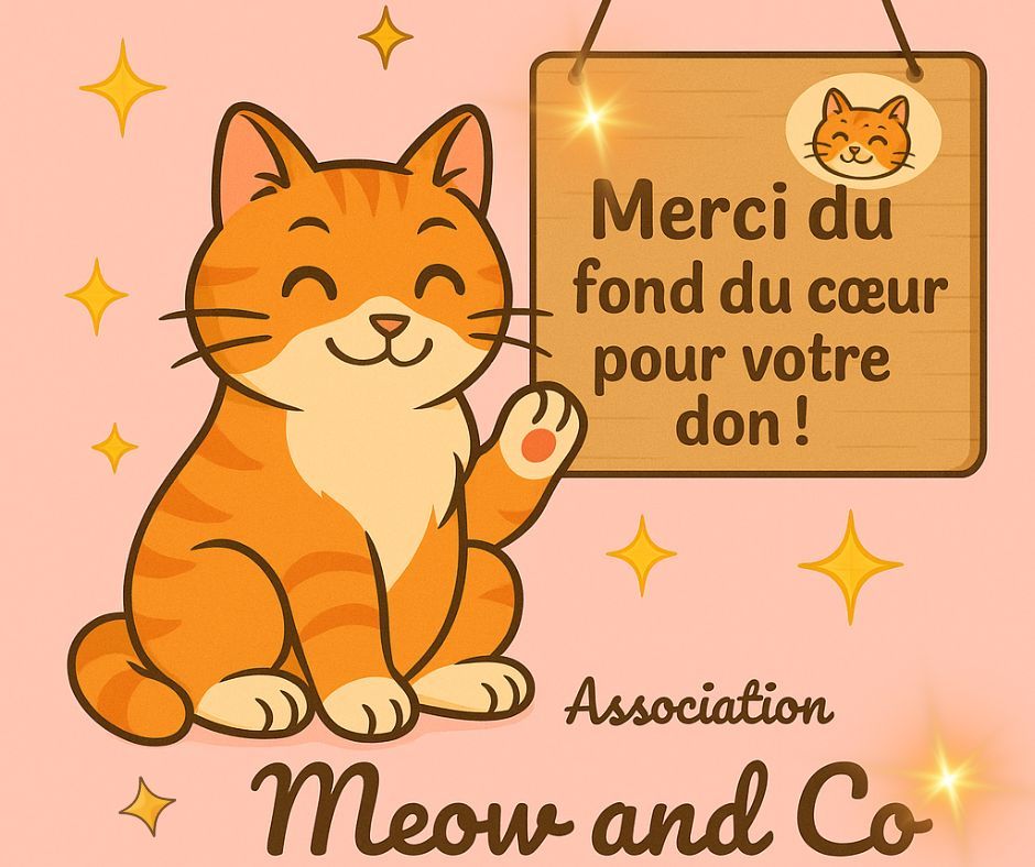 illustration d'un chat roux assis qui lève une patte et plisse les yeux avec un sourire. Sur une pancarte à sa droite on peut lire Merci du fond du coeur pour votre don !