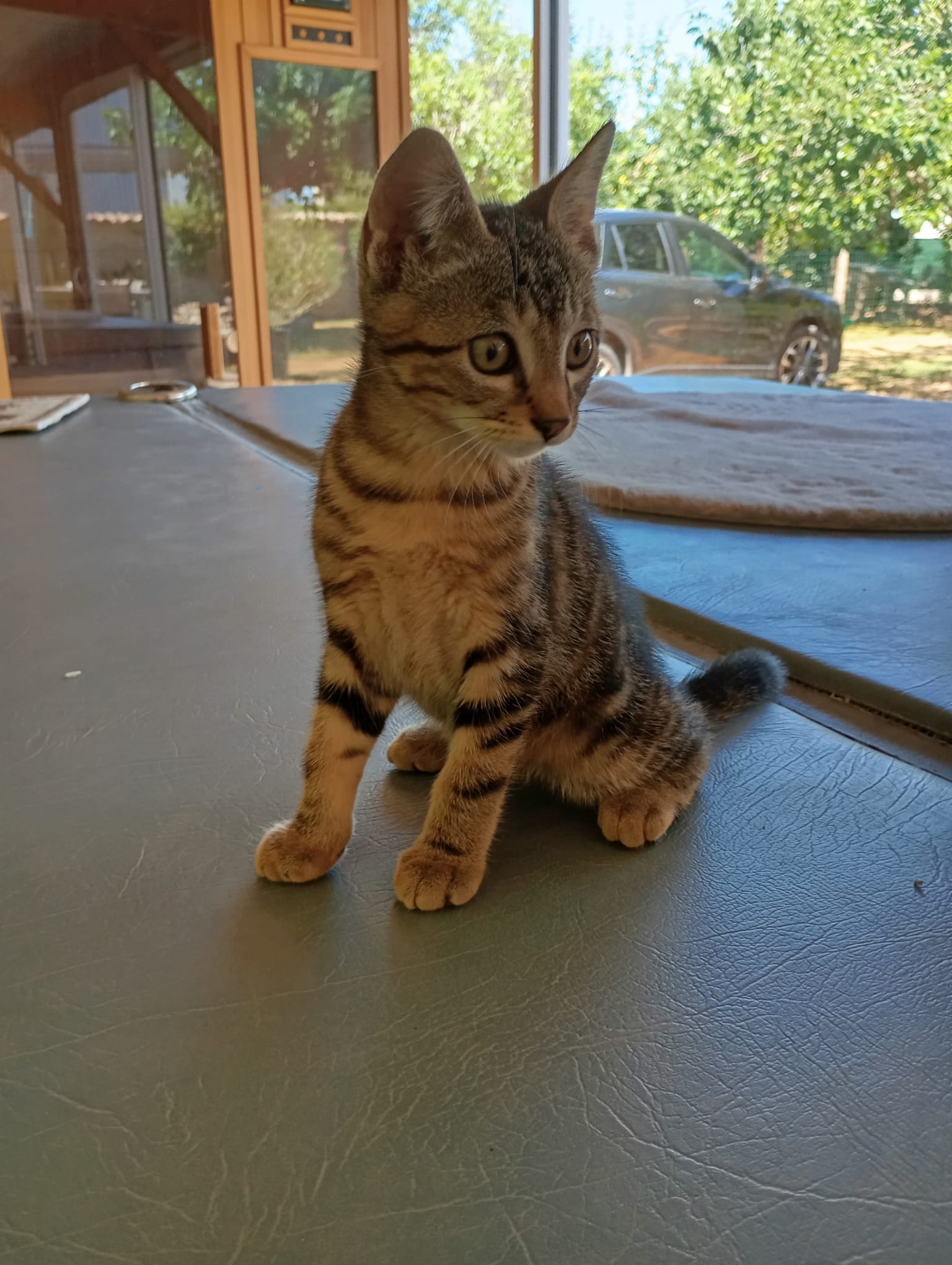 Photo de Arlo
