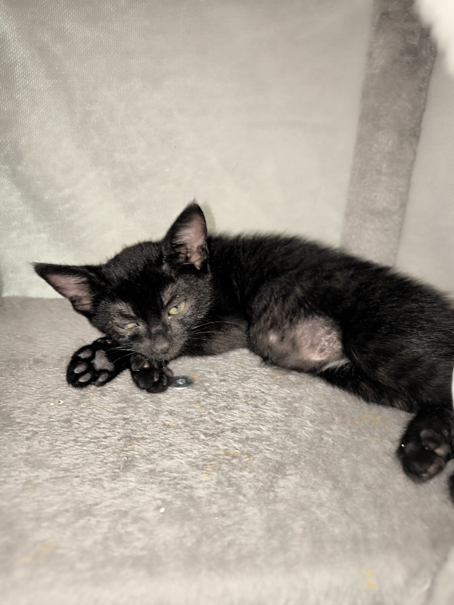 Photo de WALLY