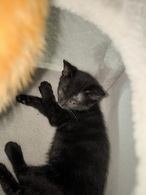 Photo de WALLY