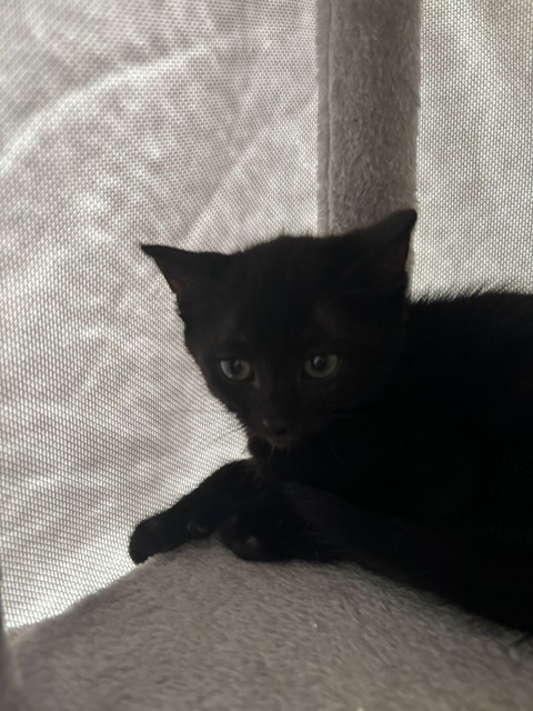 Photo de WALLY