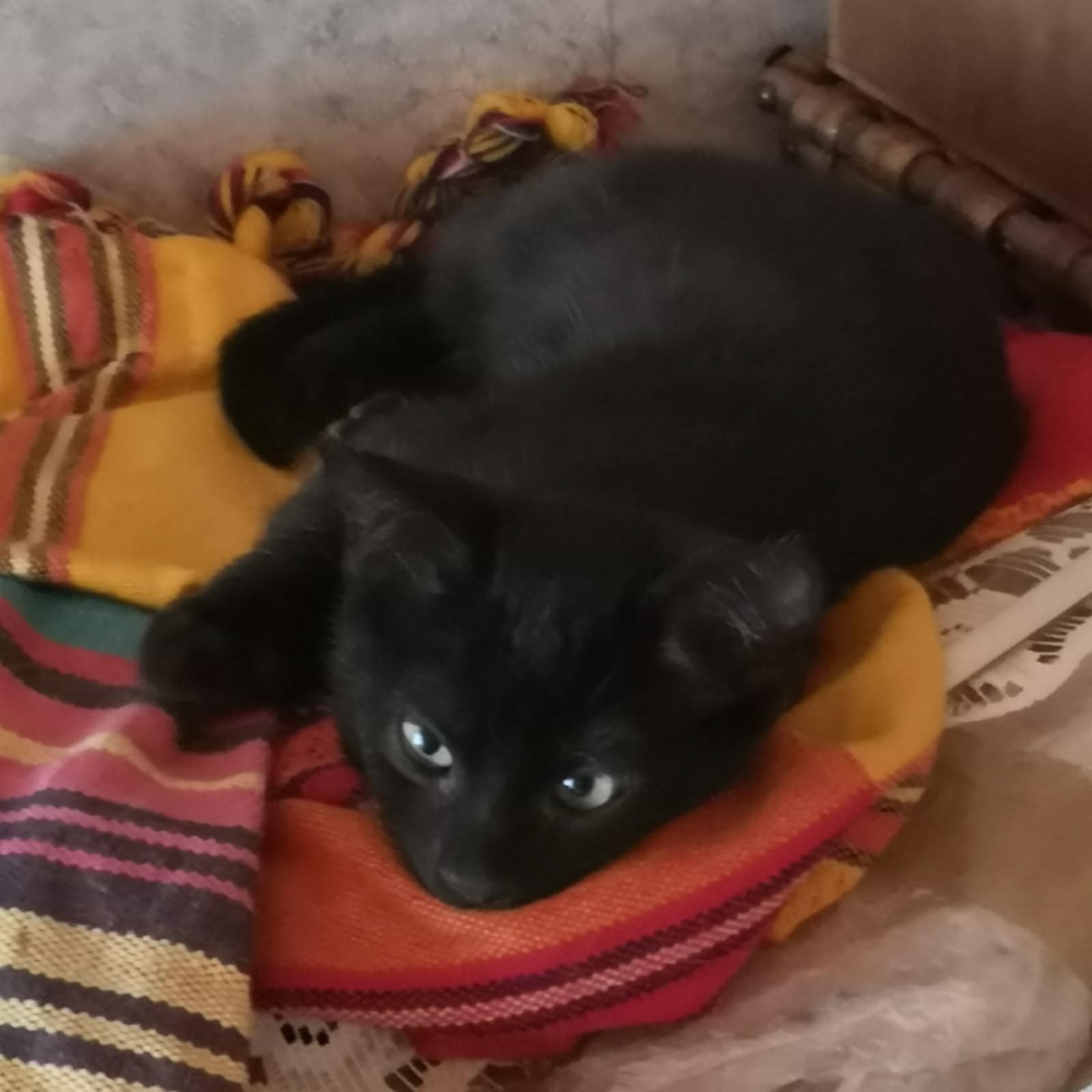 Photo de ASPEN