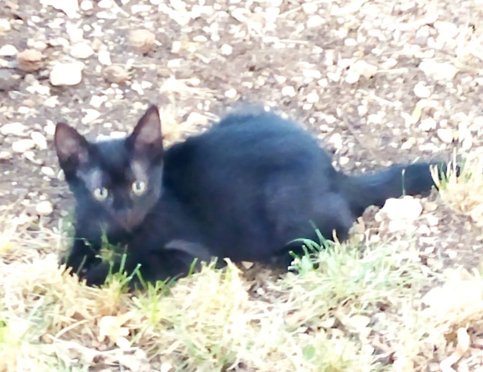 Photo de ALPHA
