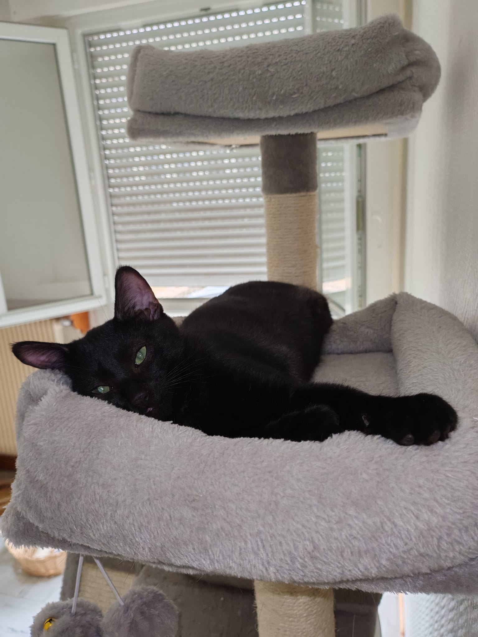 Photo de WALLY