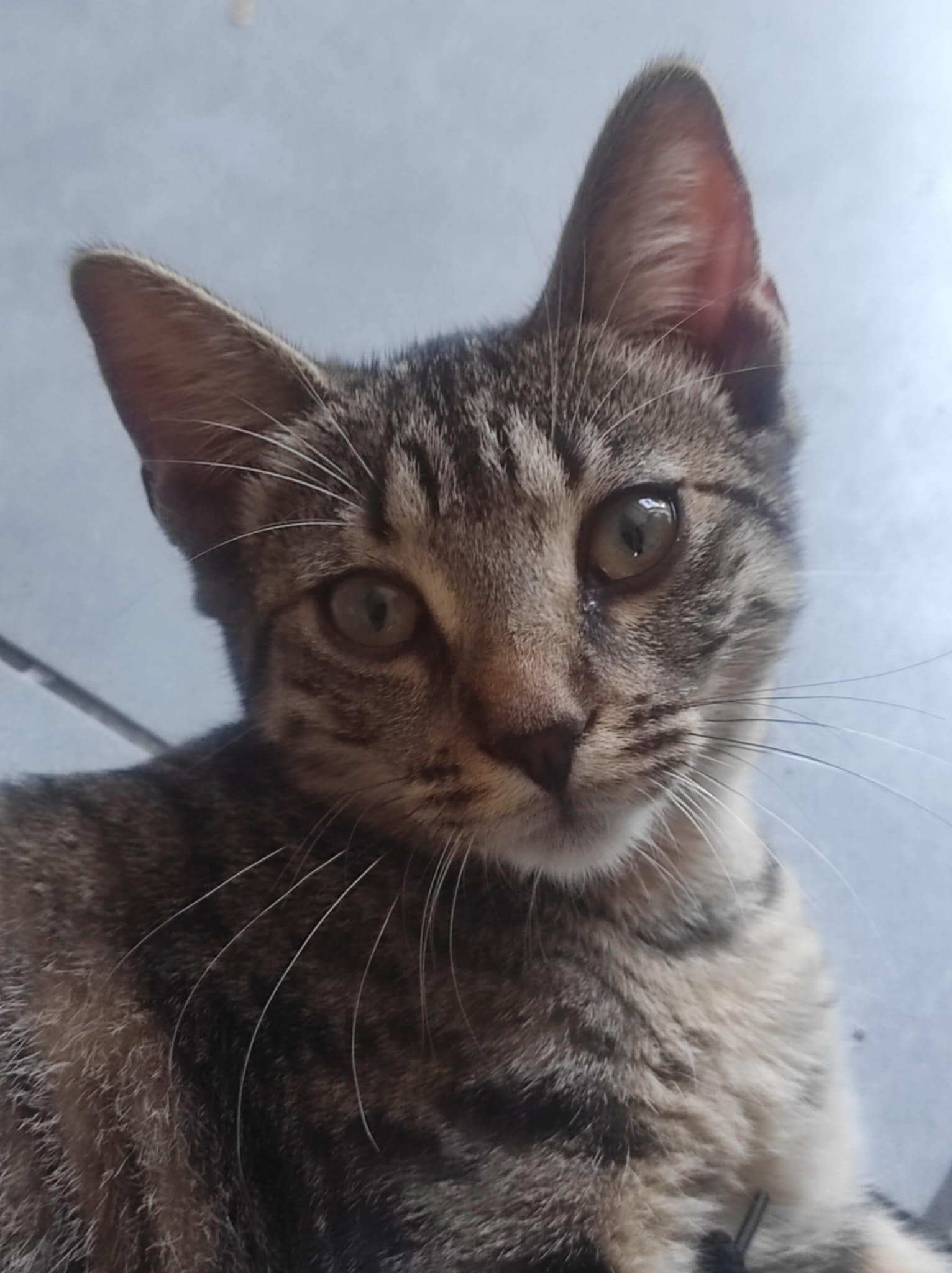 Photo de Zaza