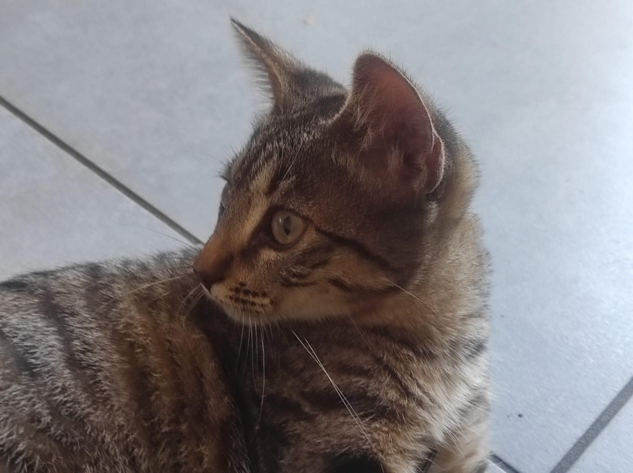 Photo de Zaza