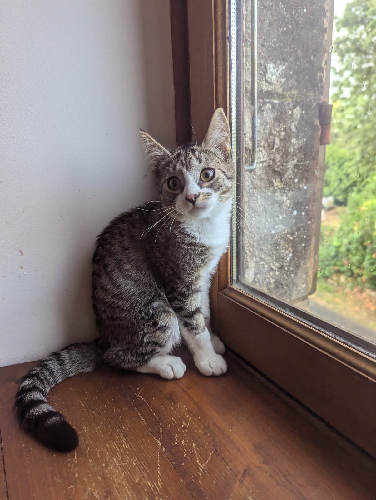 Photo de CHOUCKY