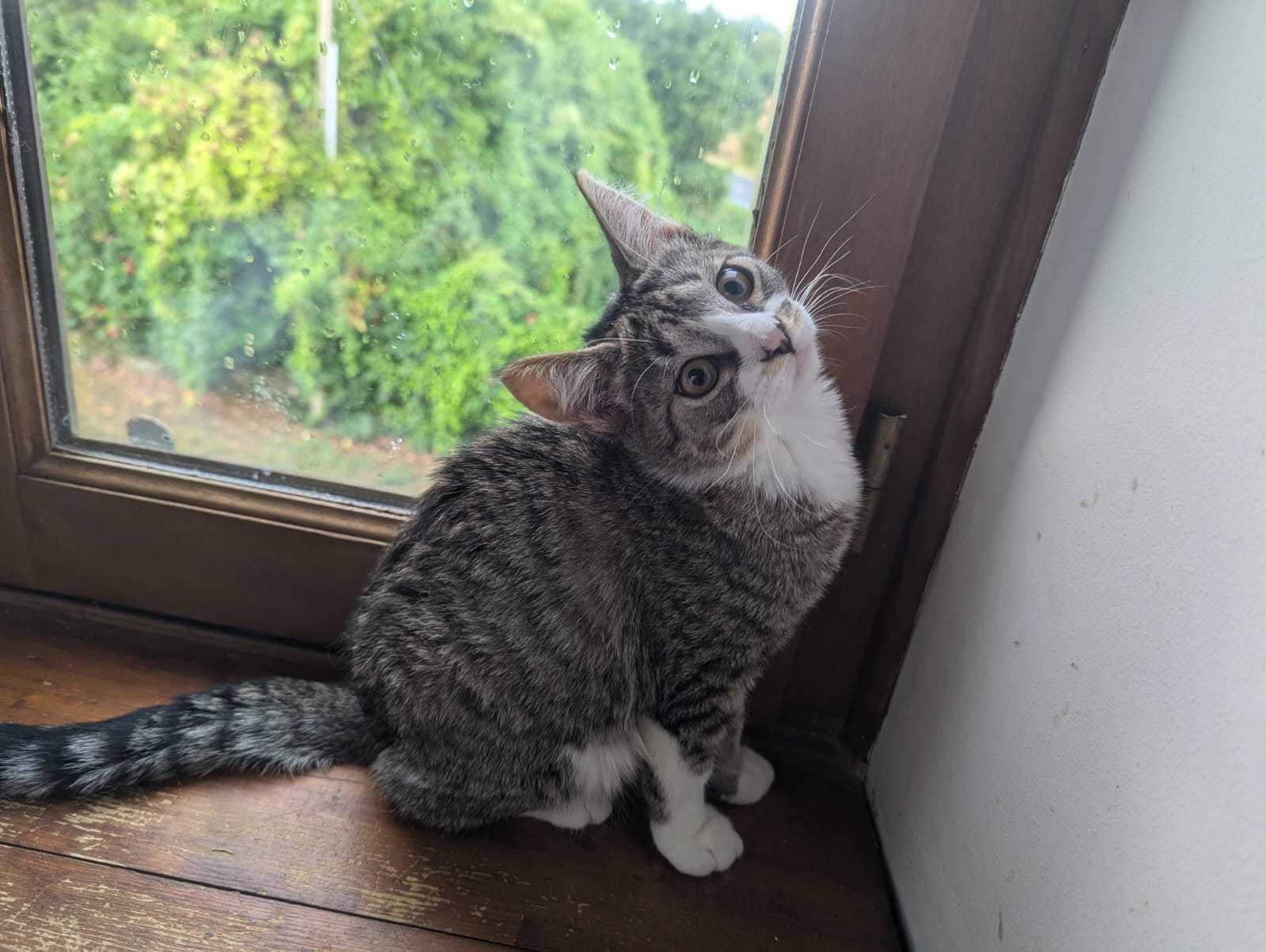 Photo de CHOUCKY