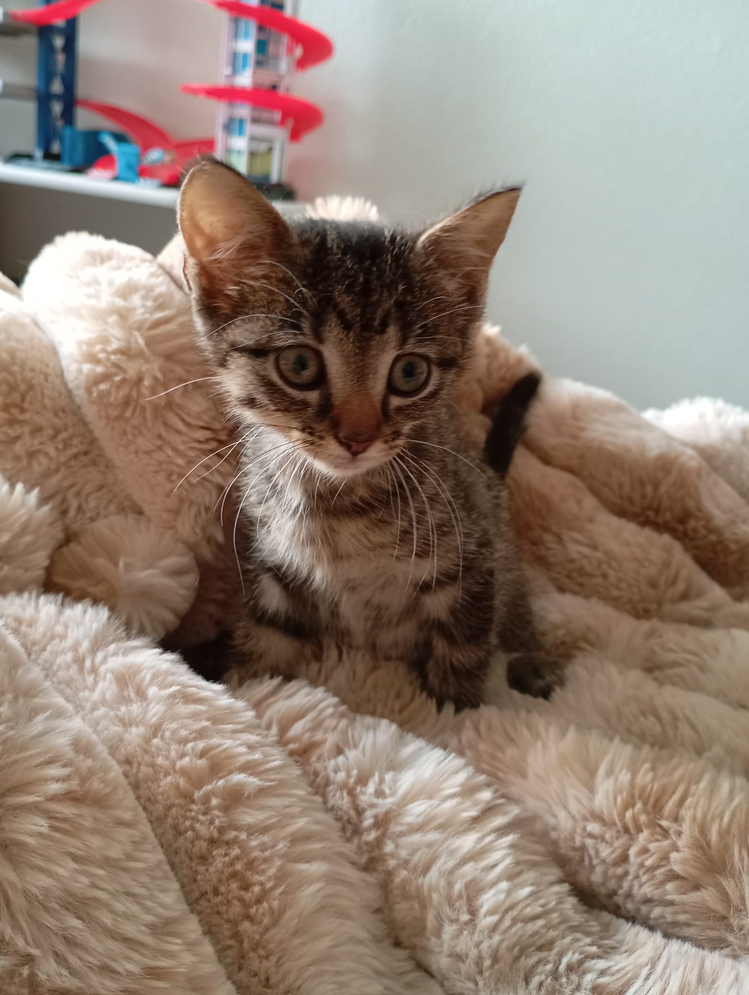 Photo de MAIA 