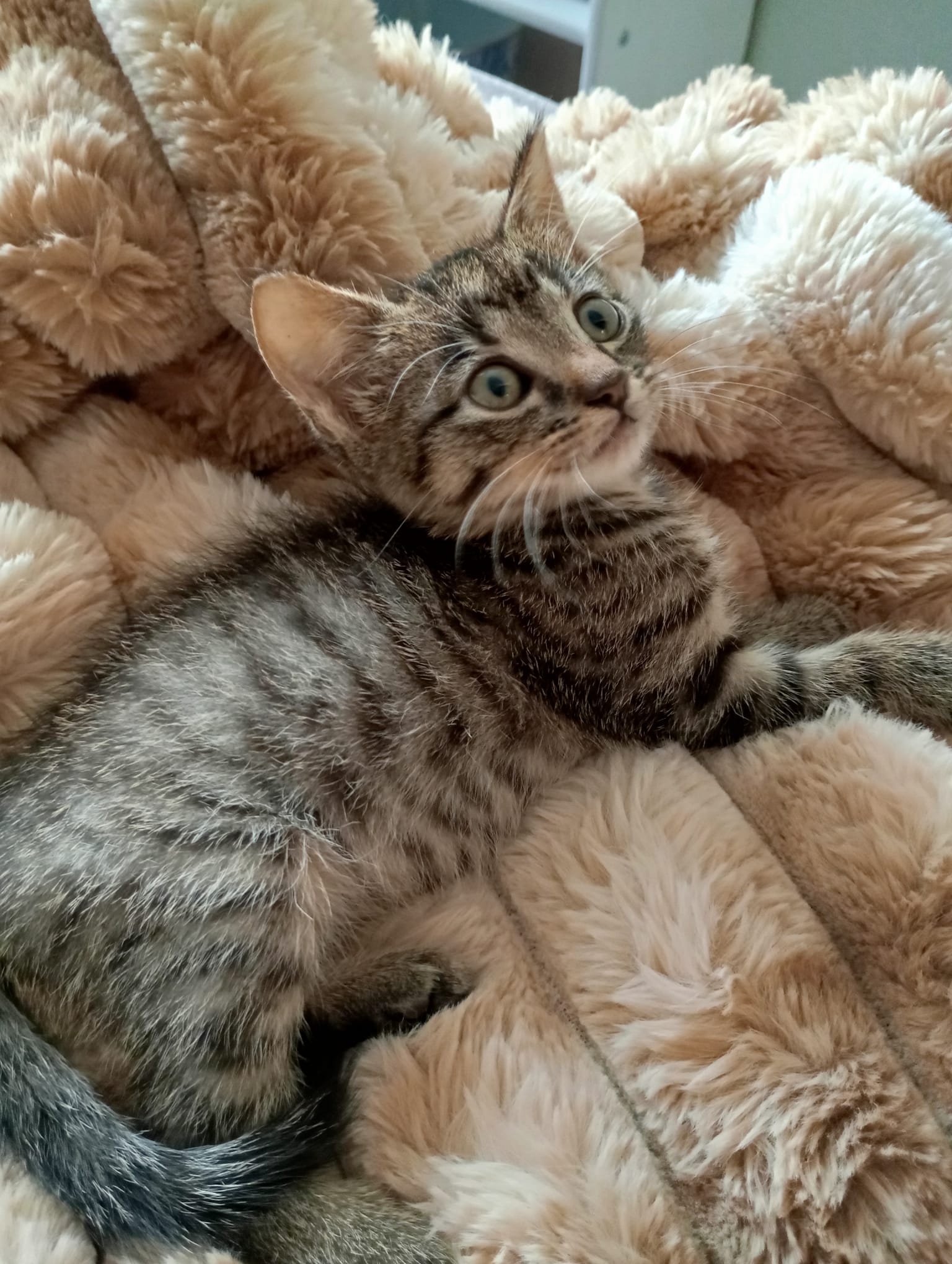 Photo de MAIA 