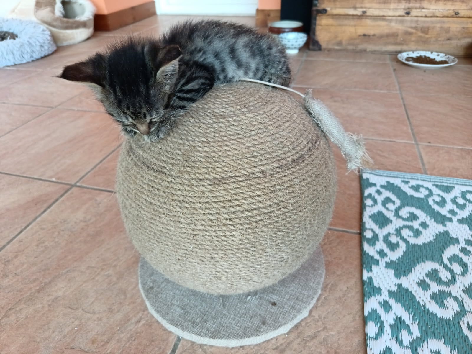 Photo de MAIA 
