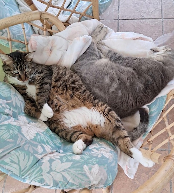 Photo de BAMBI ET TITUS