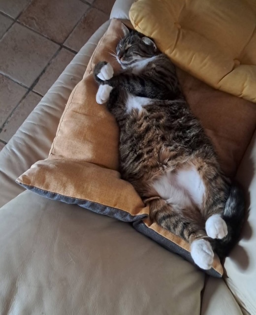 Photo de BAMBI ET TITUS