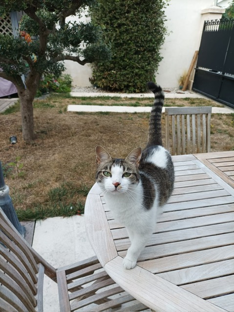 Photo de GASPARD
