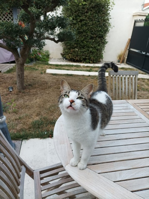 Photo de GASPARD