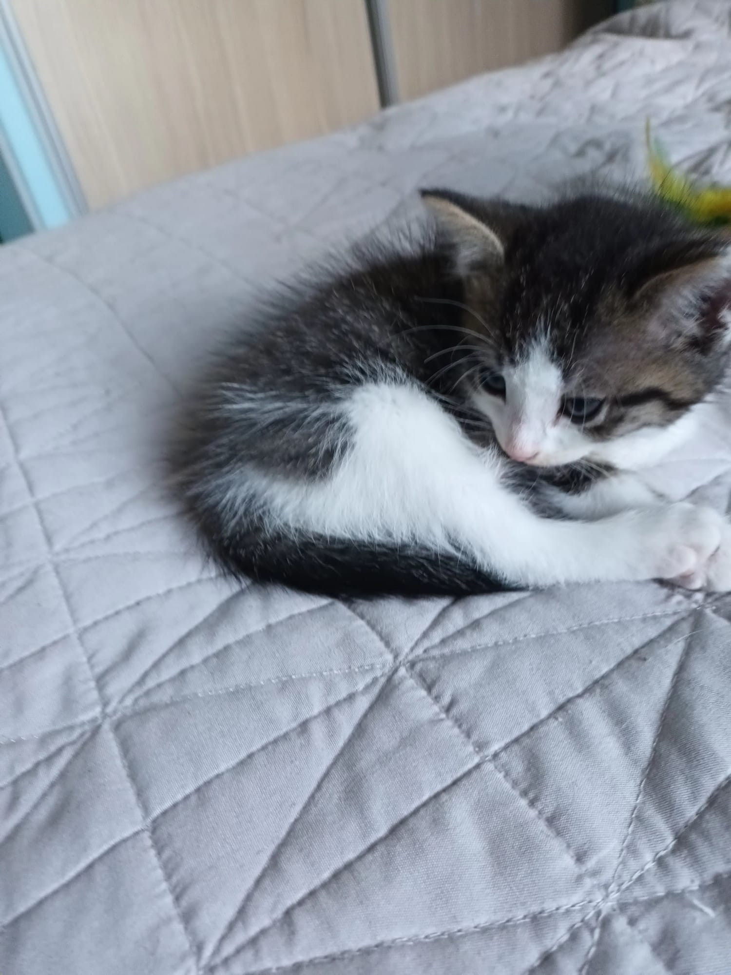 Photo de ARWIN