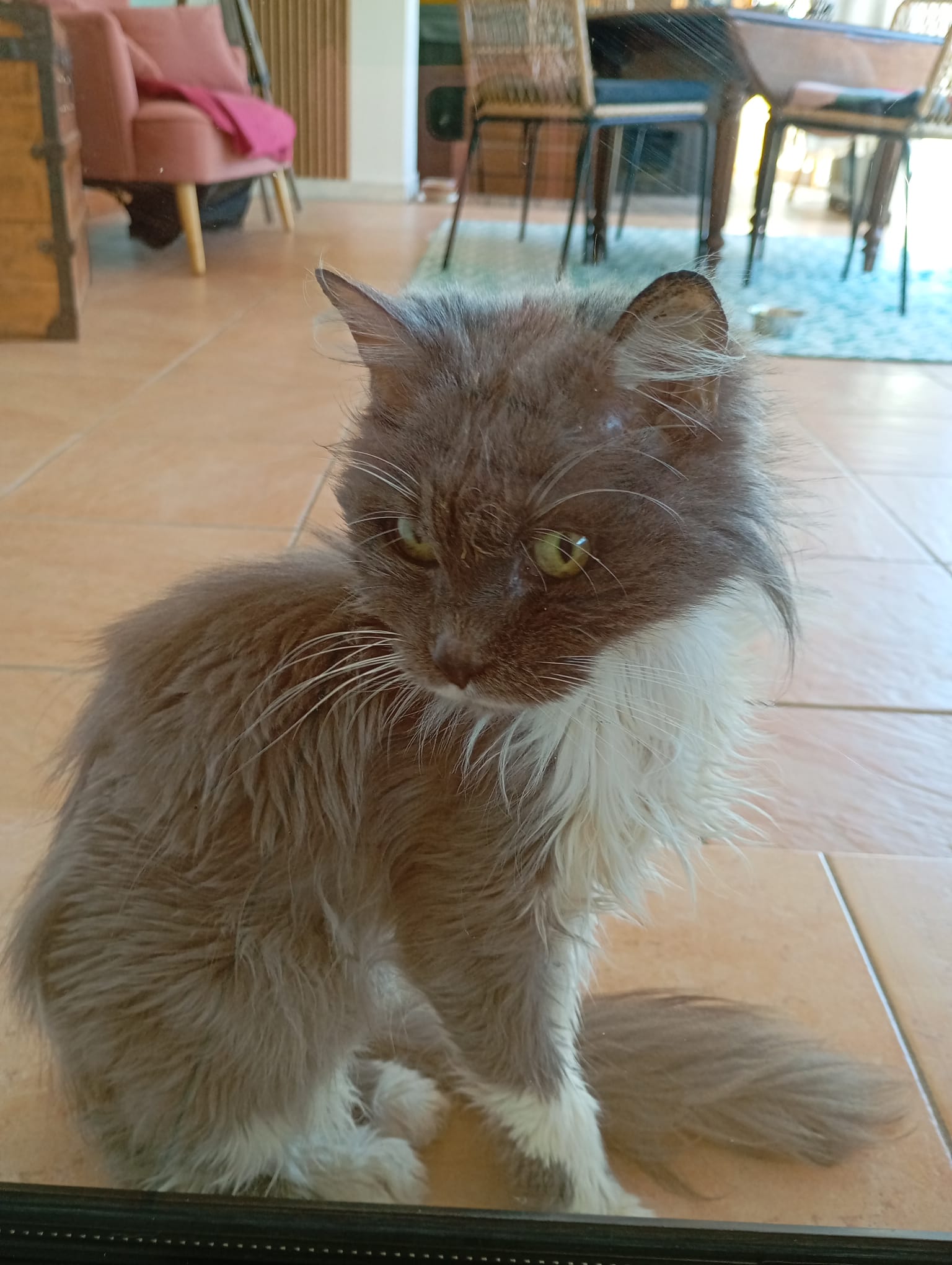 Photo de SOKA