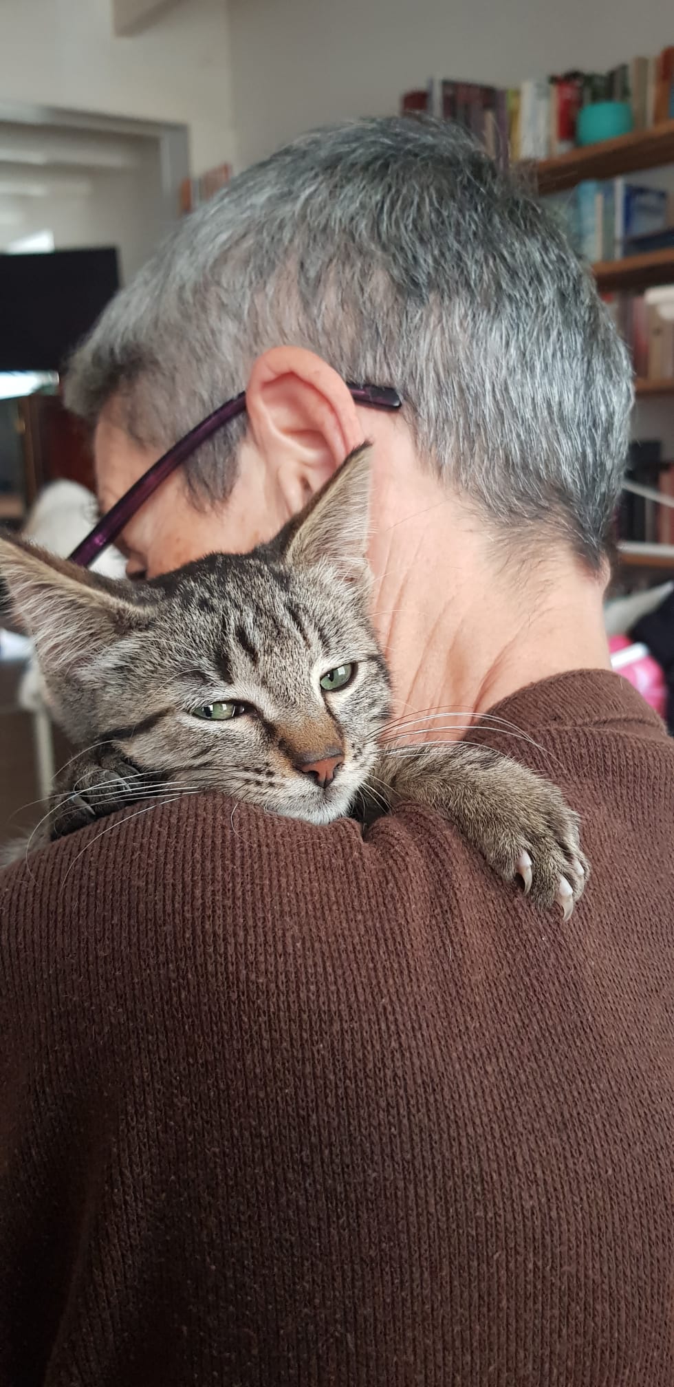 Photo de YODA