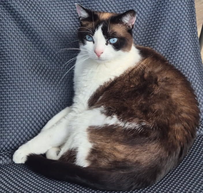 Photo de NALA