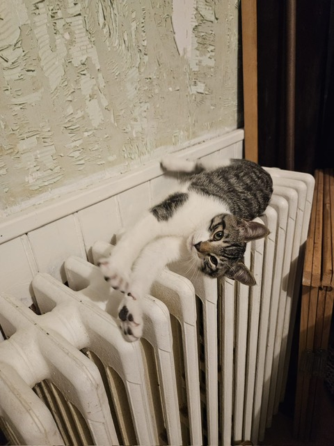 Photo de "PETIT CUL"