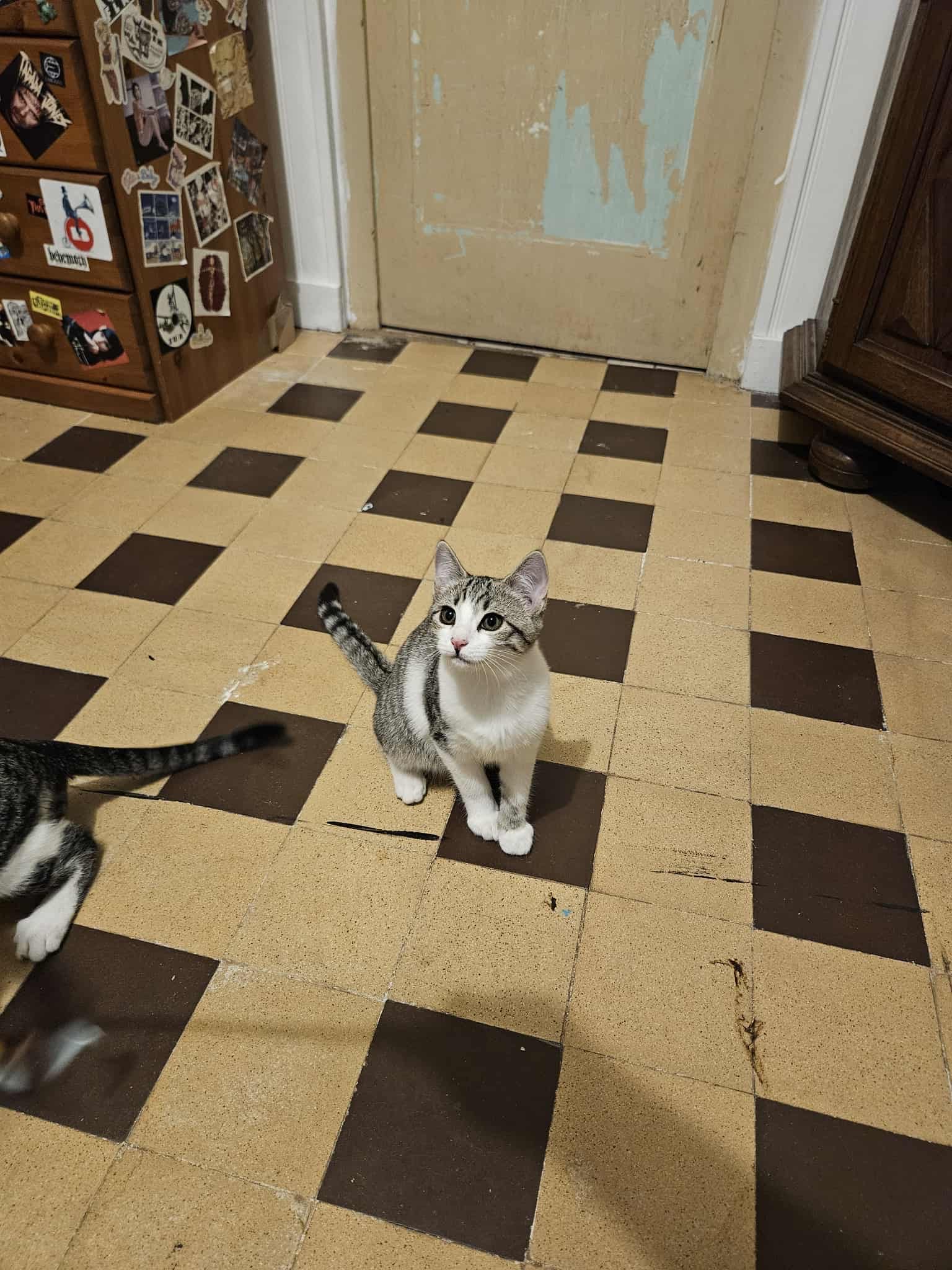 Photo de "PETIT CUL"