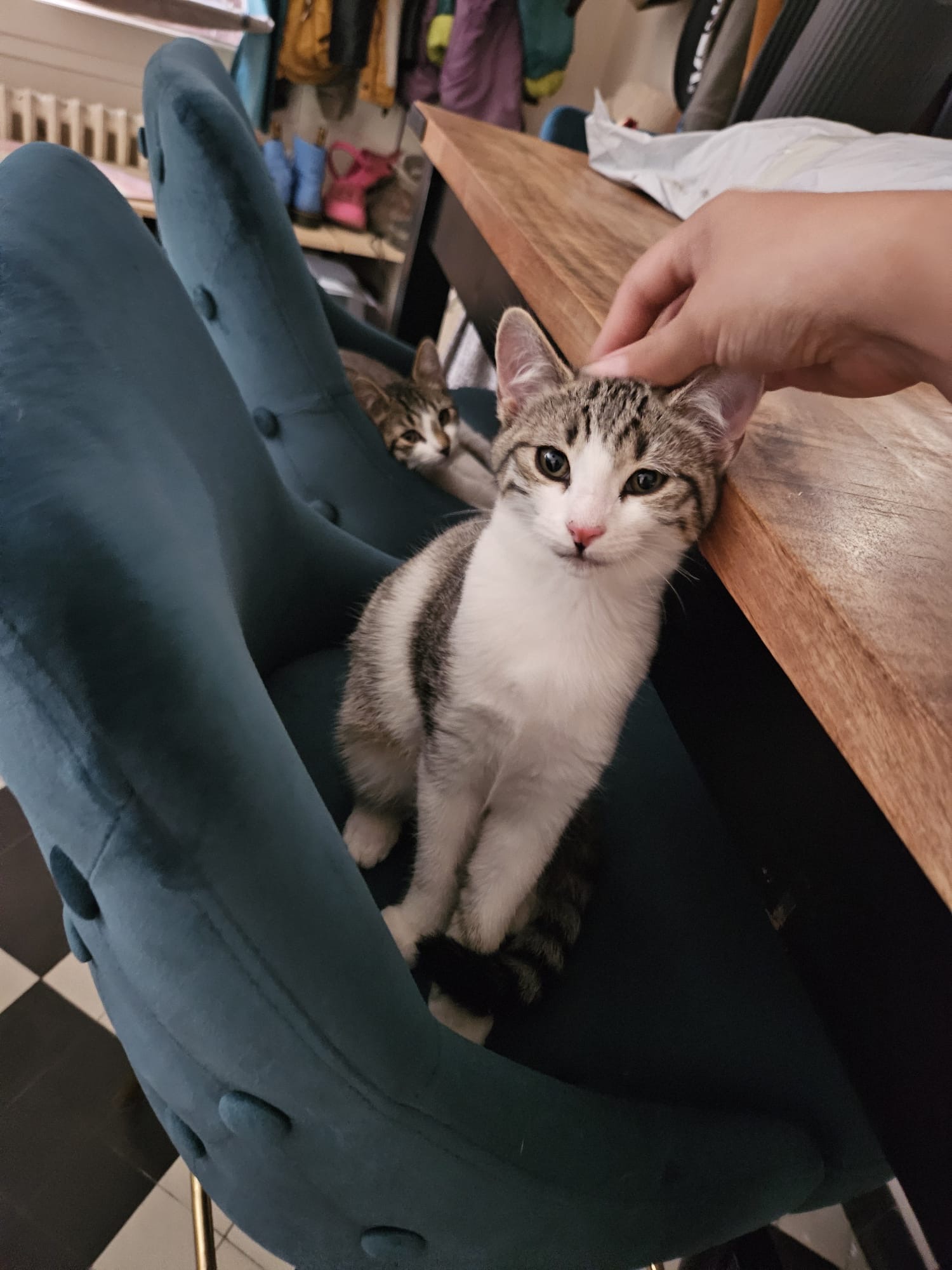 Photo de "PETIT MUSEAU"