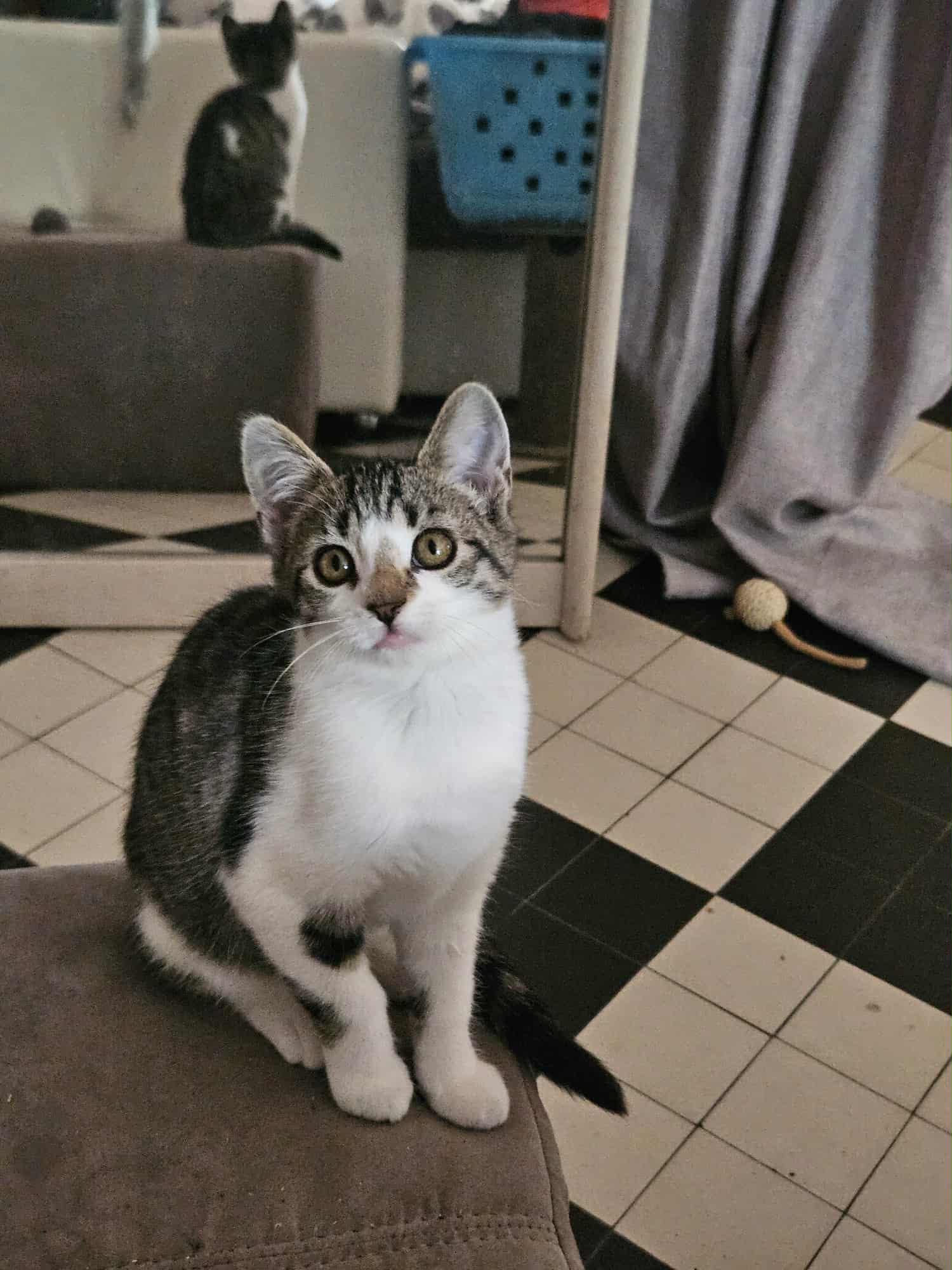 Photo de "PETIT NEZ"