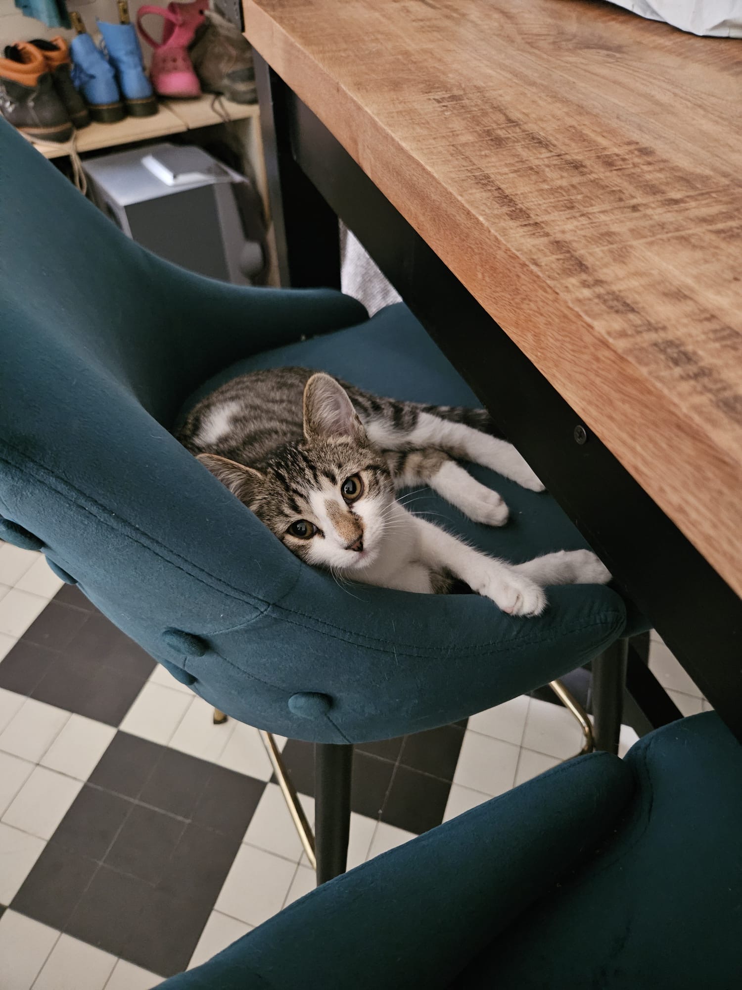 Photo de "PETIT NEZ"