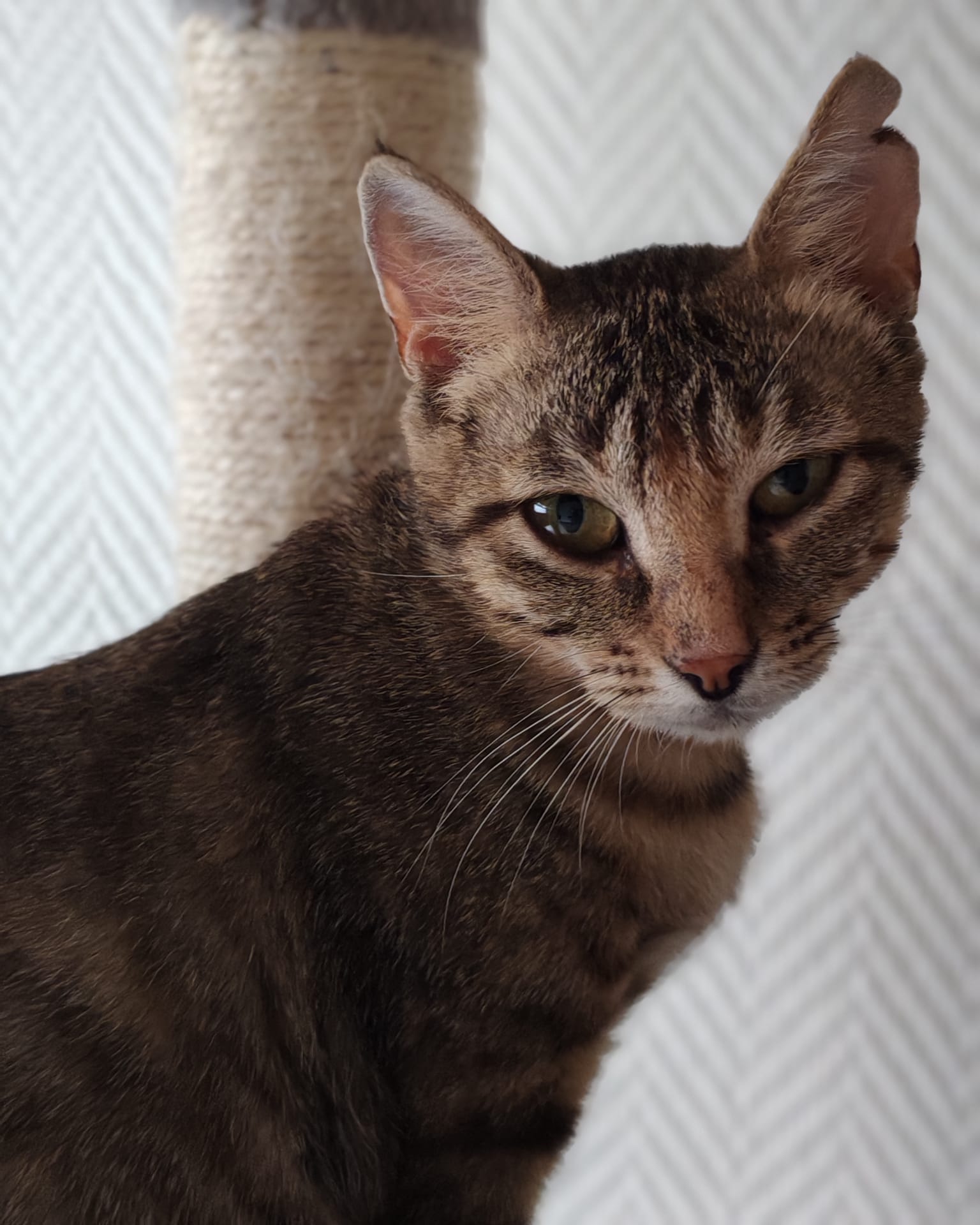 Photo principale de l'association