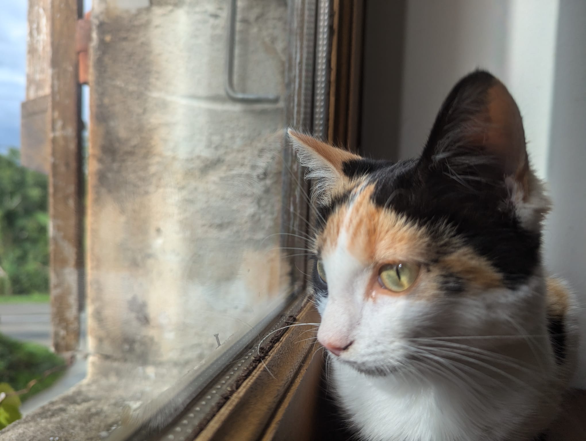 Photo secondaire 2 de l'association