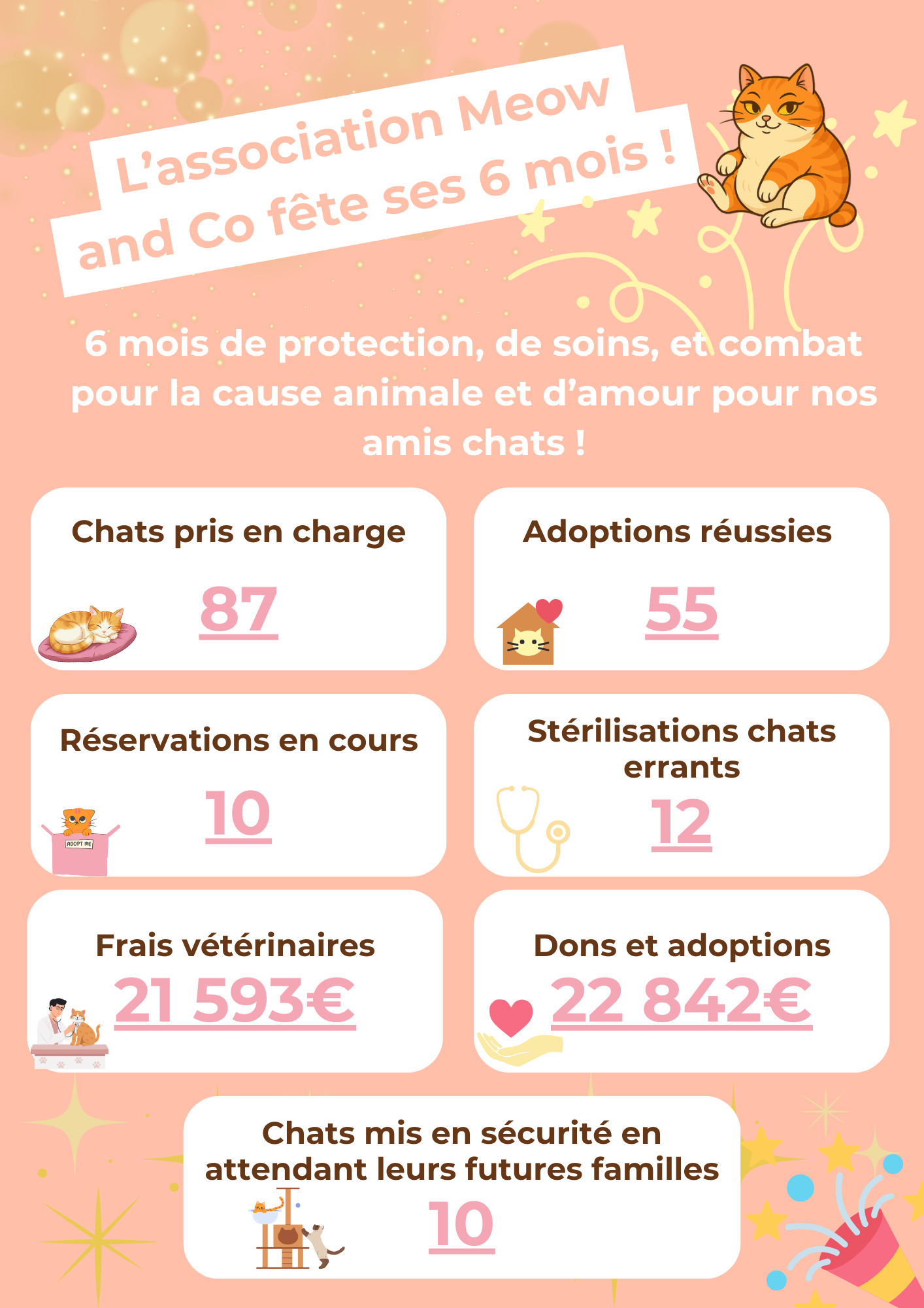 Photo principale de l'association