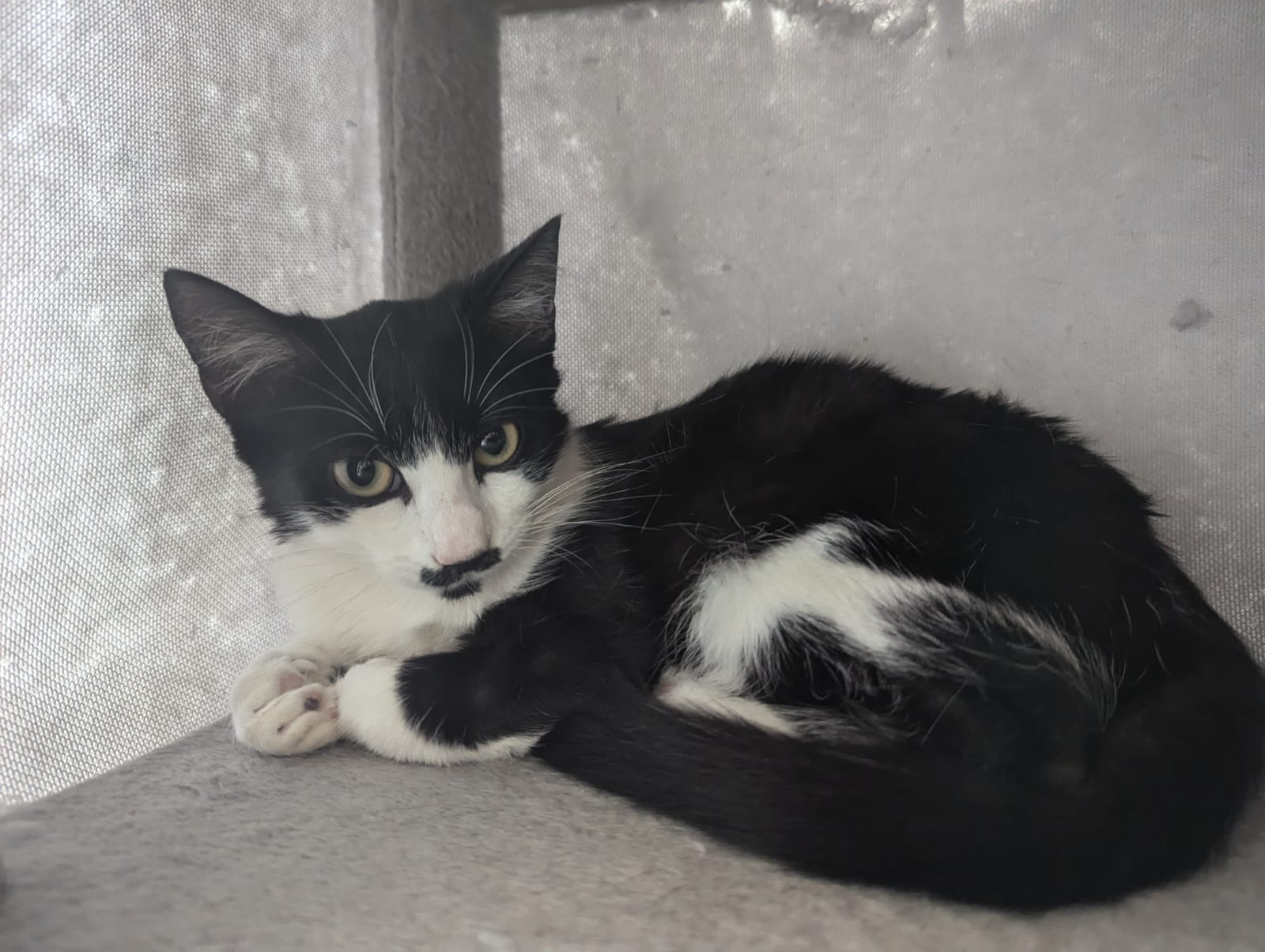 Photo secondaire 1 de l'association