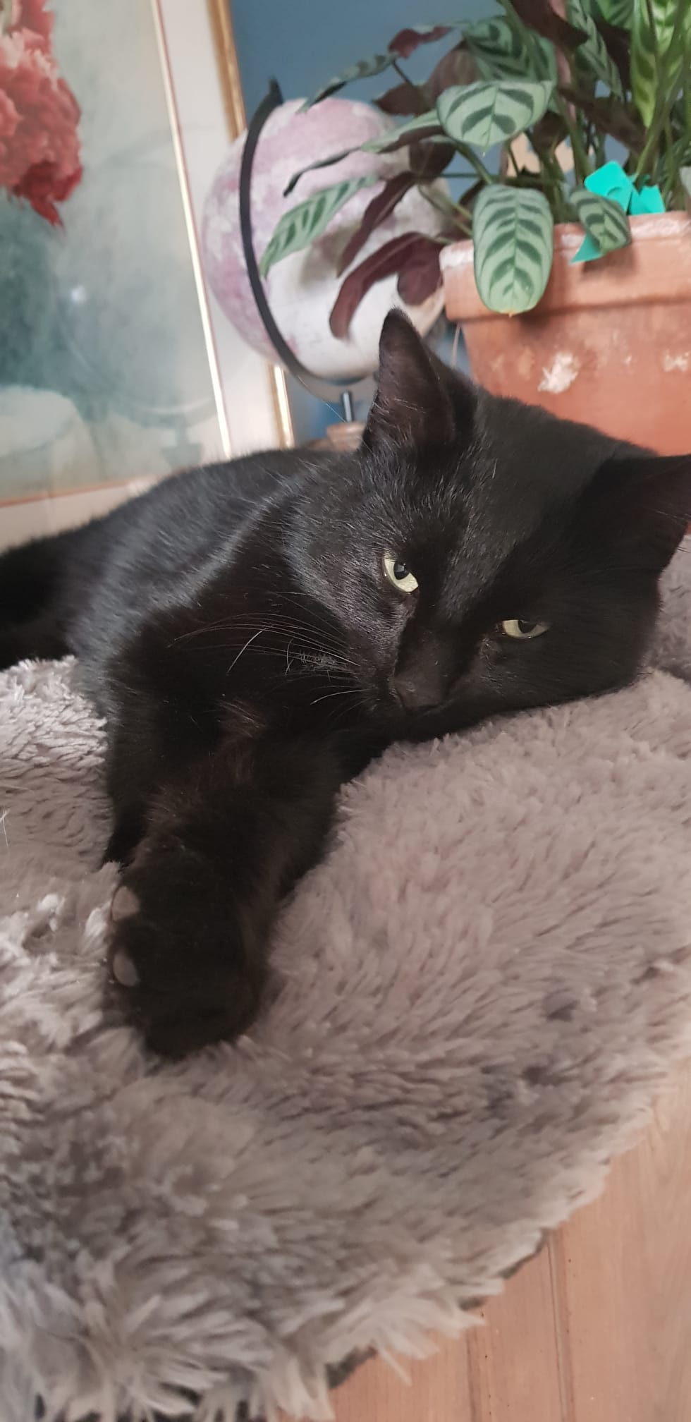 Photo principale de l'association