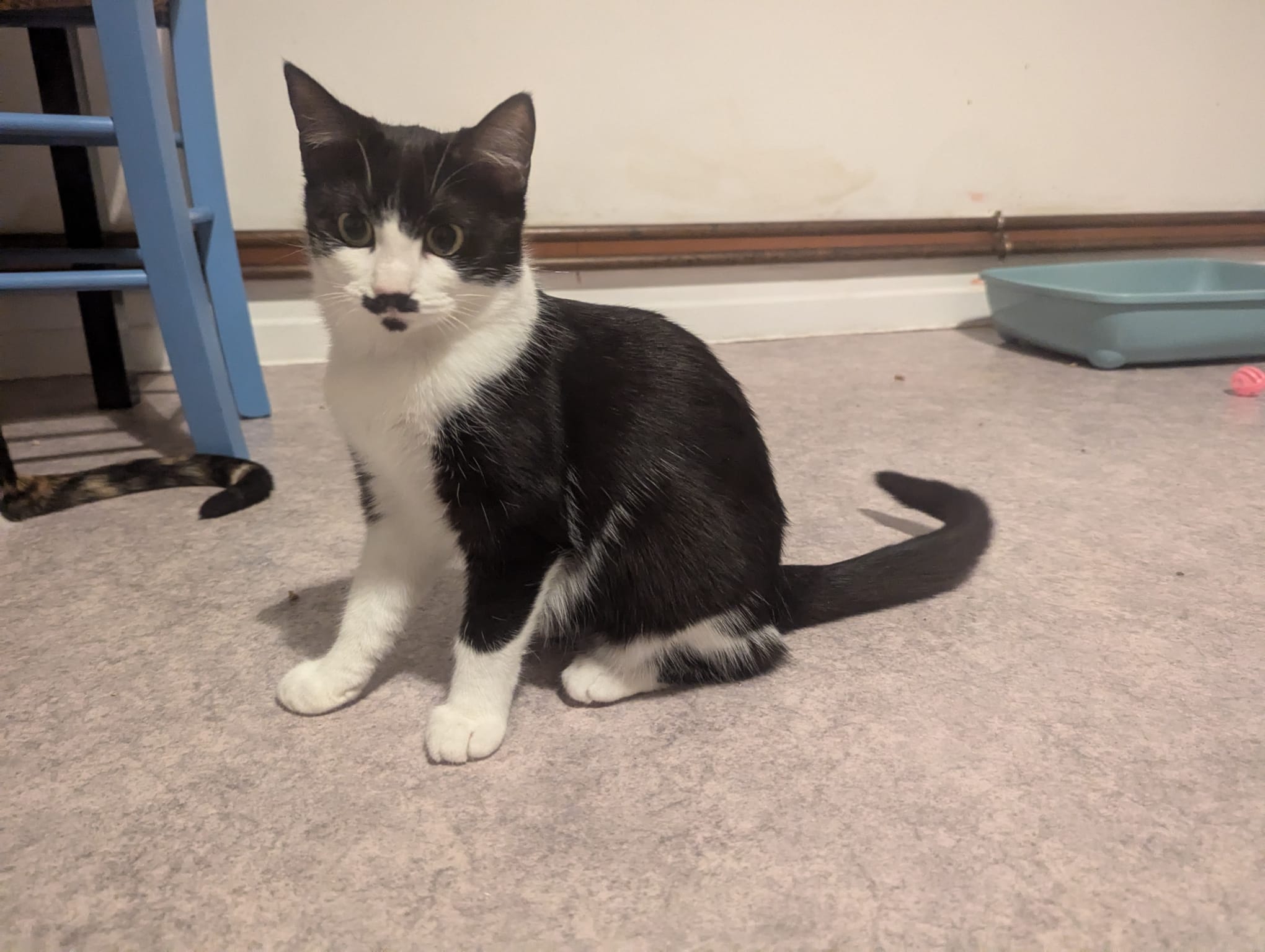 Photo secondaire 1 de l'association