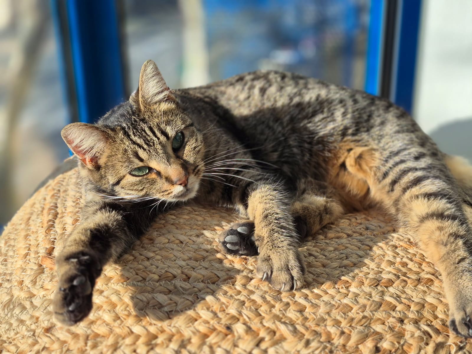 Photo secondaire 2 de l'association