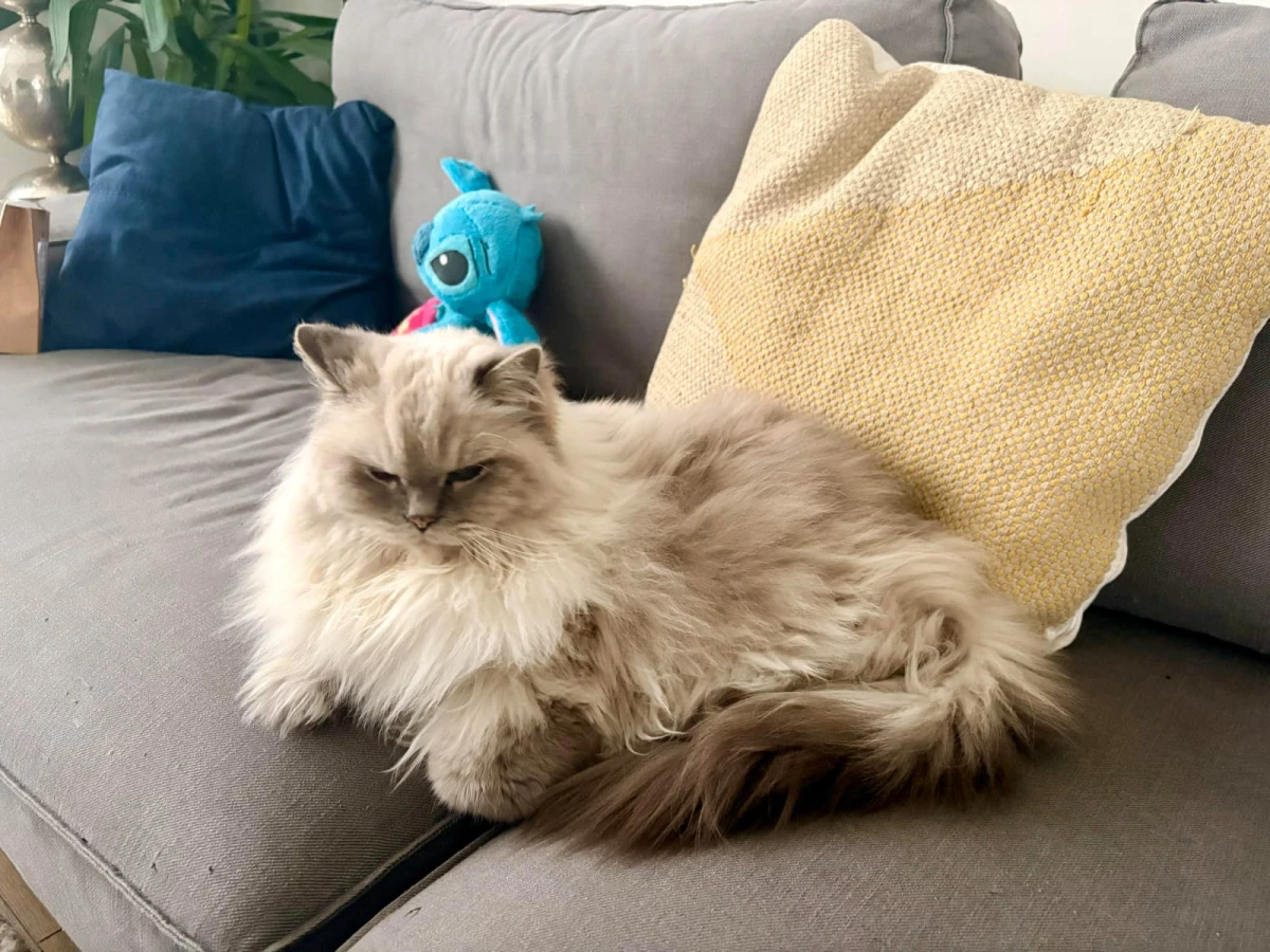 Photo secondaire 1 de l'association