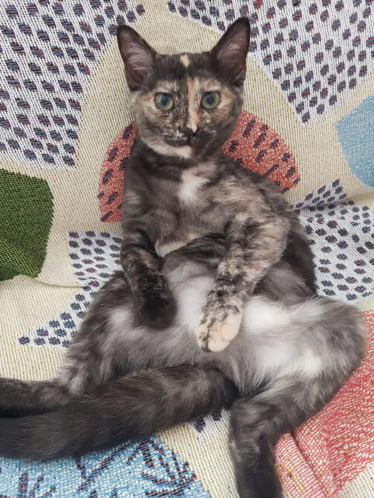 Photo principale de l'association