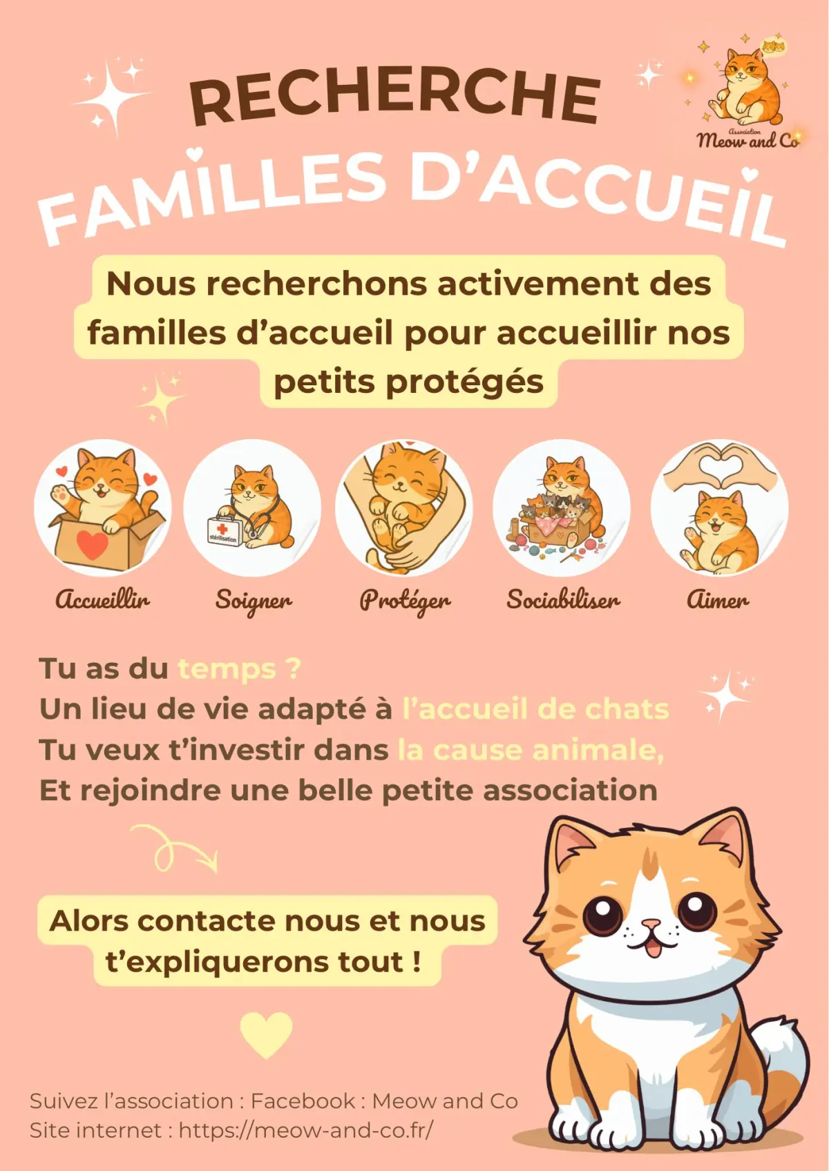 Photo secondaire 1 de l'association