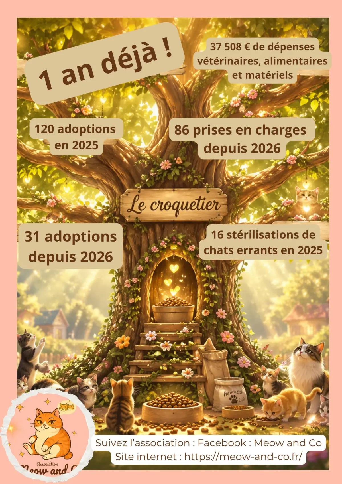 Photo secondaire 2 de l'association
