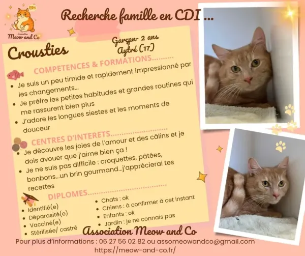 Photo de Crousties
