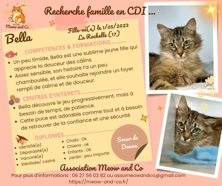 Photo de Bella