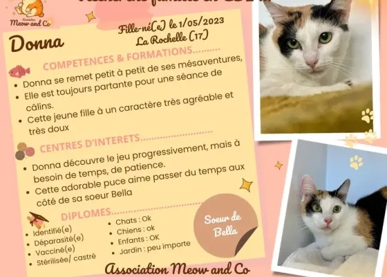 Photo de Bella