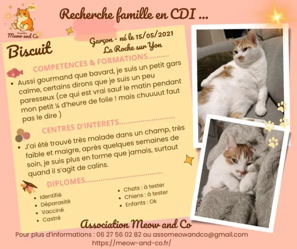 Photo de Biscuit