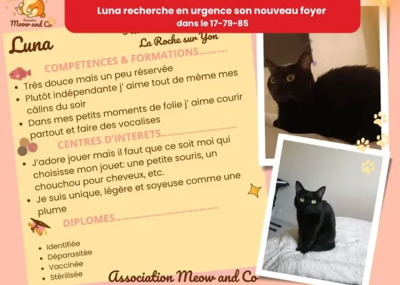Photo de Luna