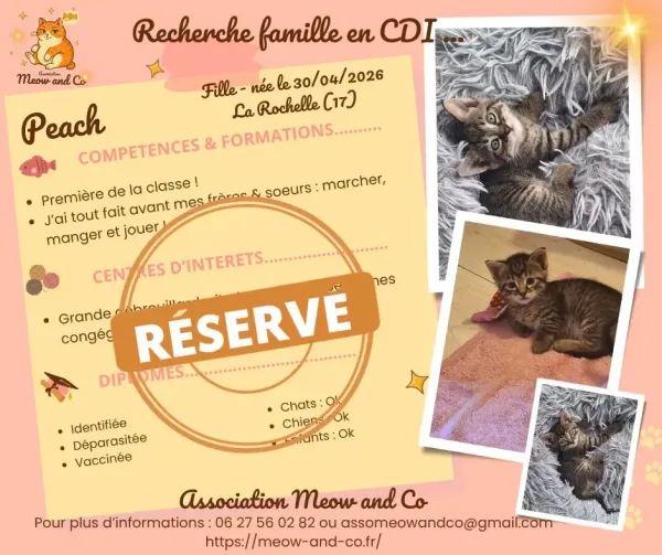 Photo de Peach