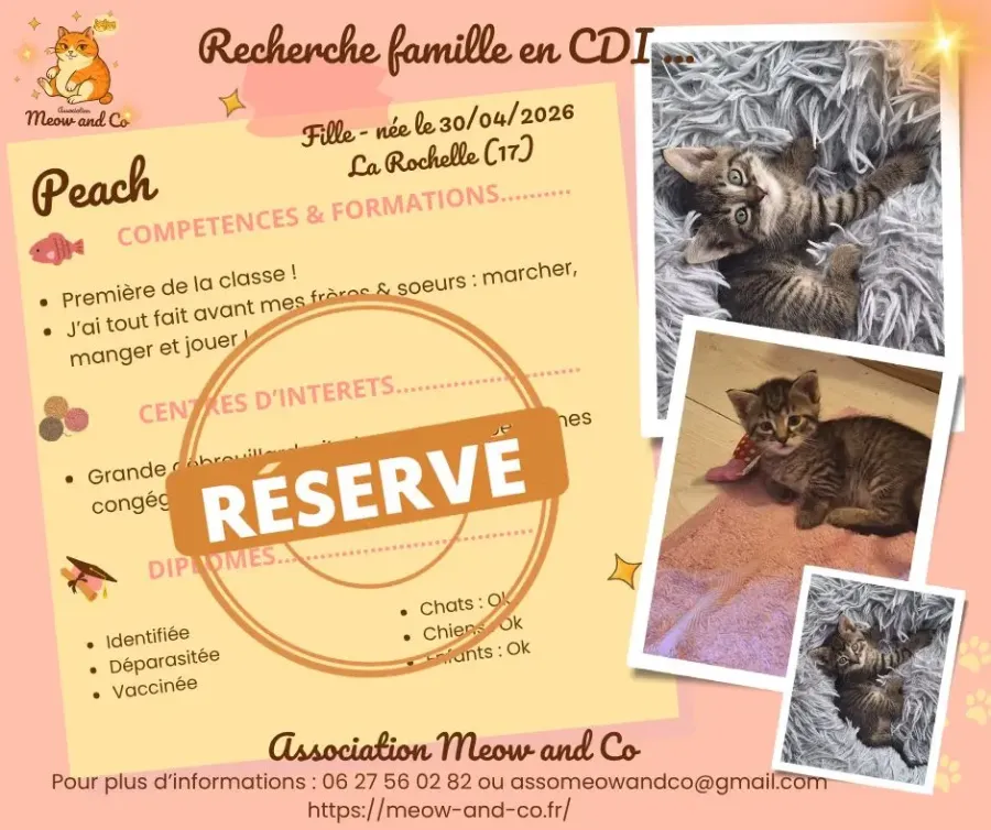 Photo de Peach