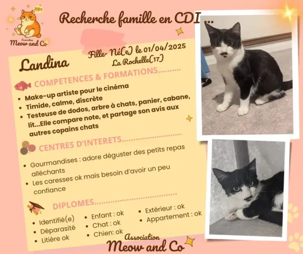 Photo de Landina 