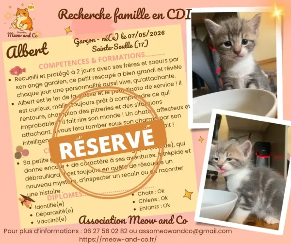 Photo de Albert