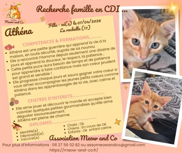 Photo de Athéna