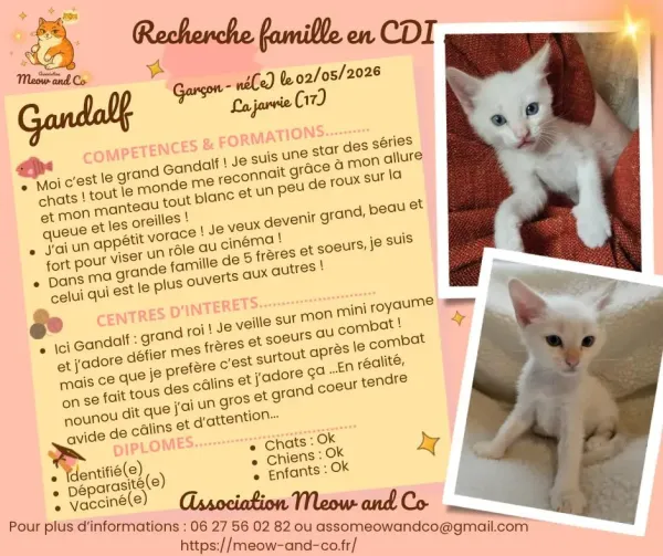 Photo de Gandalf